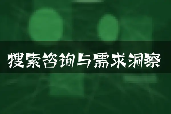 搜索咨询与需求洞察