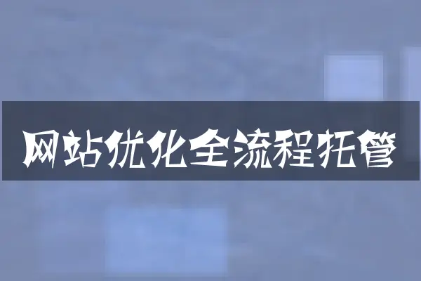 网站优化全流程托管